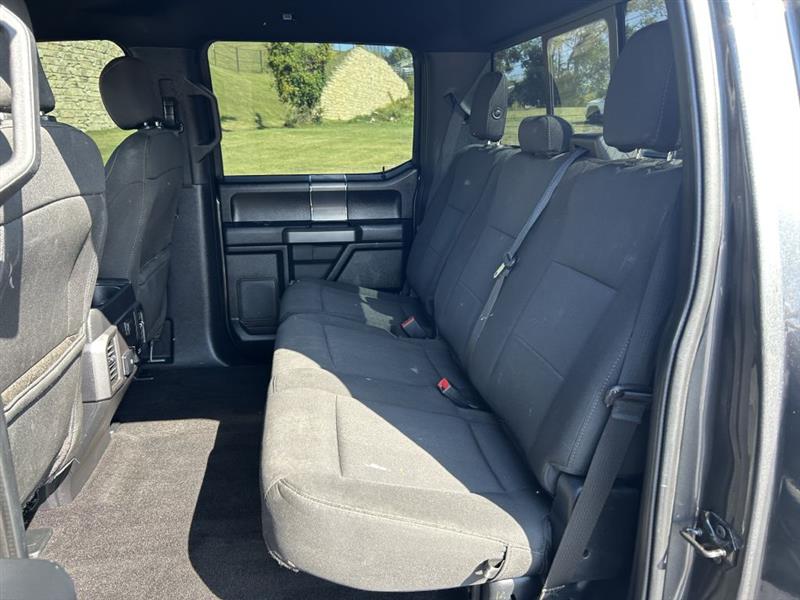 2019 Ford F-150 XL photo 11