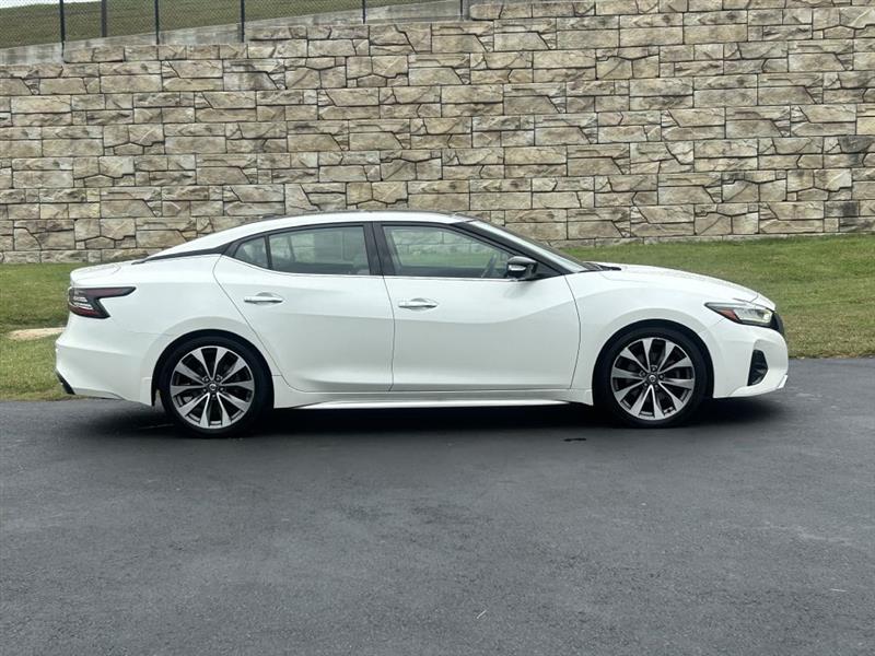 2019 Nissan Maxima Platinum photo 3