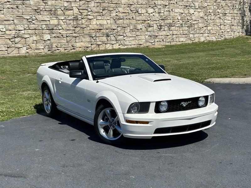 2008 Ford Mustang GT Deluxe's photo