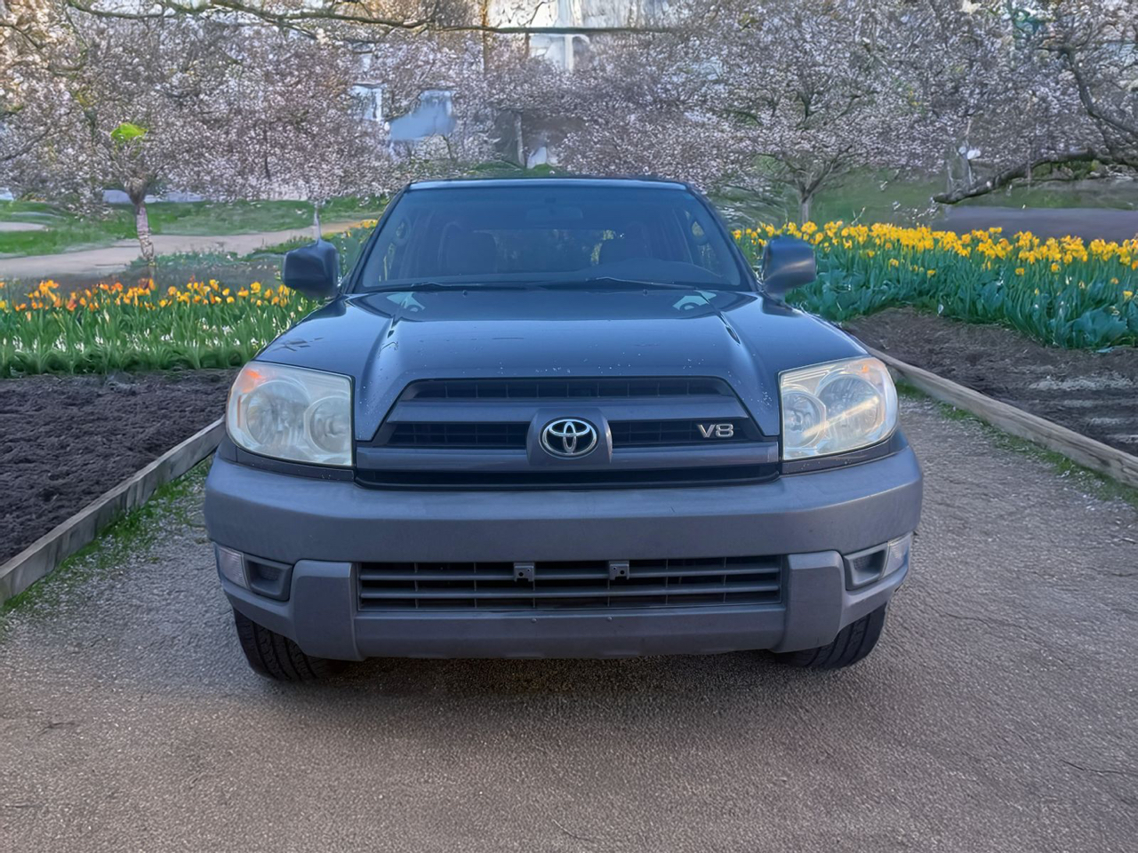 Toyota 4Runner SR5 2WD 2003