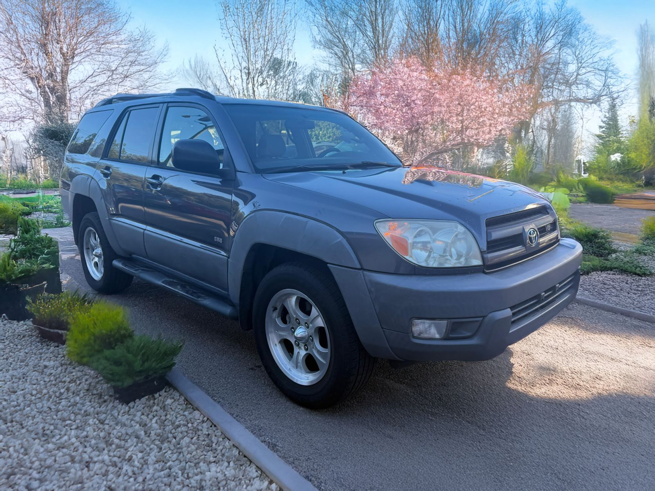 Toyota 4Runner SR5 2WD 2003