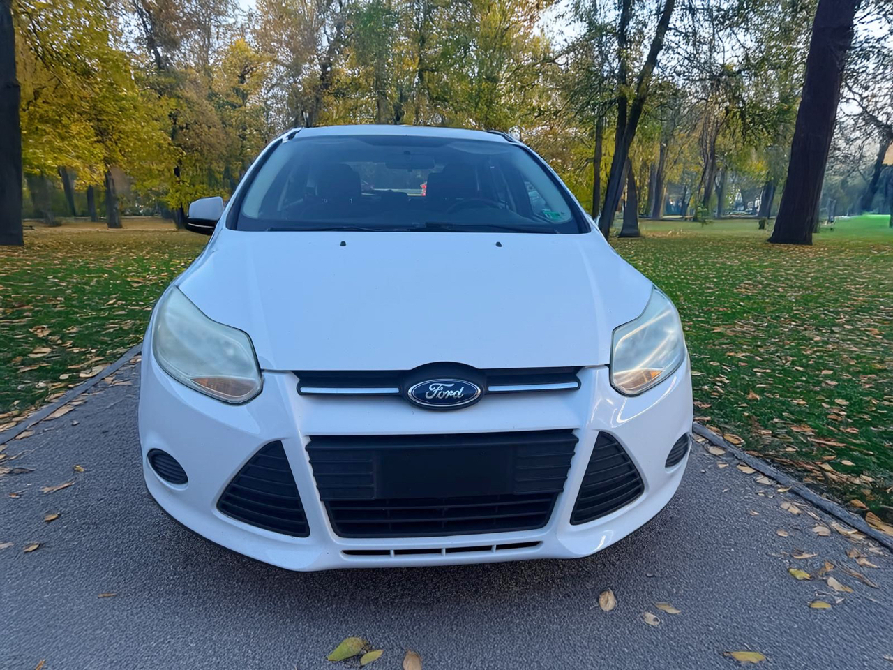 2014 Ford Focus SE photo 2