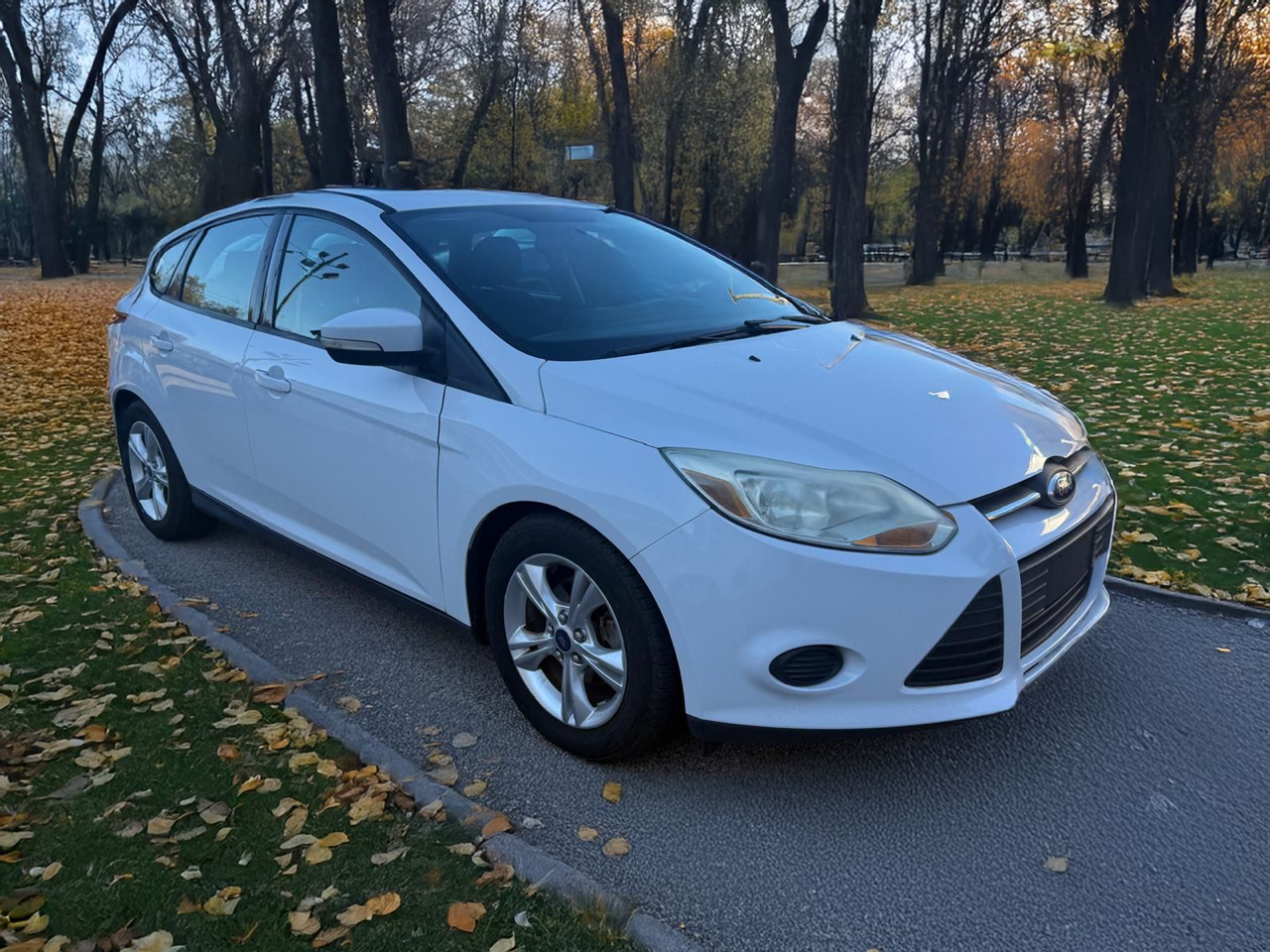 2014 Ford Focus SE photo 3