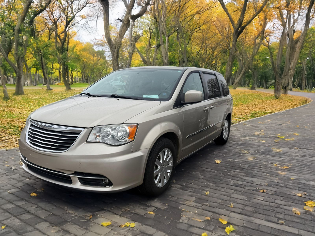 2015 Chrysler Town & Country Touring's photo