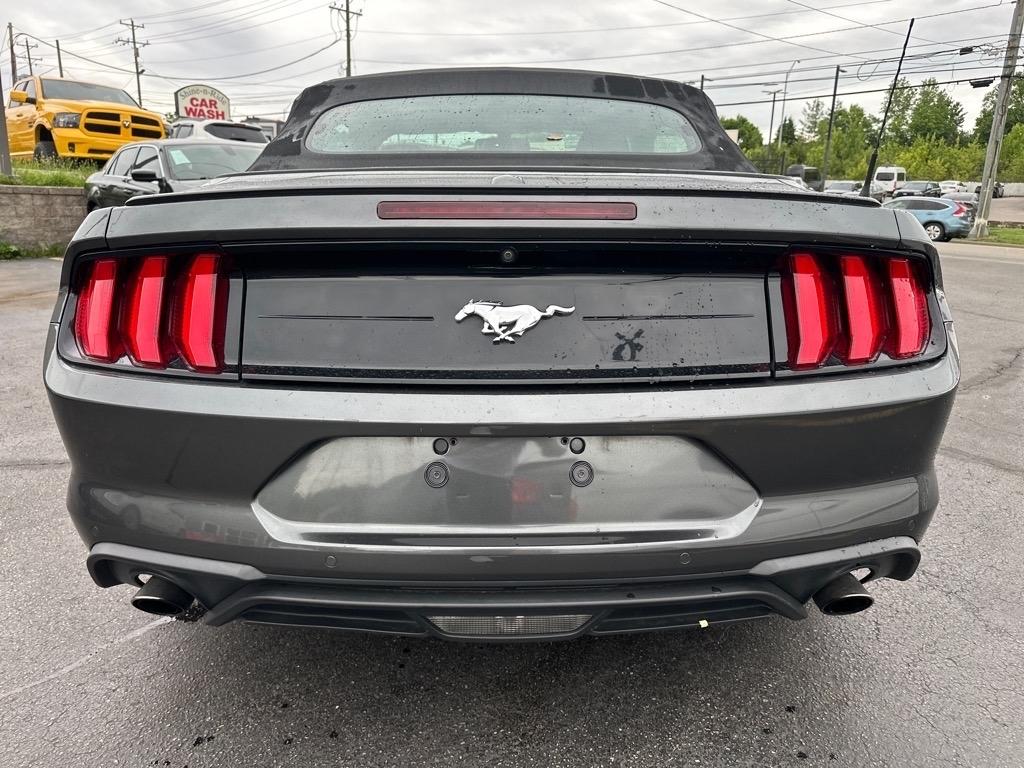 Ford Mustang EcoBoost Premium Convertible 2019