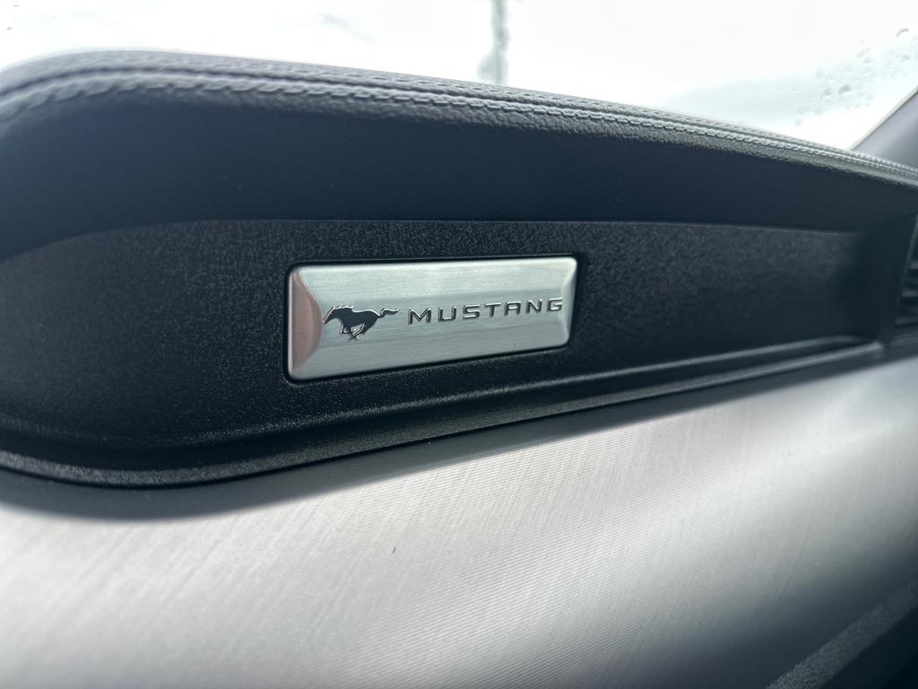 Ford Mustang EcoBoost Premium Convertible 2019