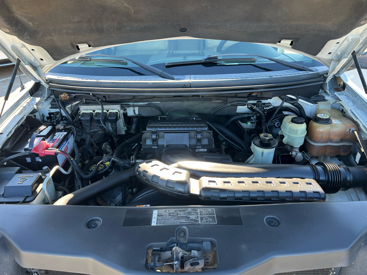 Ford F-150 4WD SuperCrew 139" FX4 2005 Ford F-150 4WD SuperCrew 139" FX4 2005