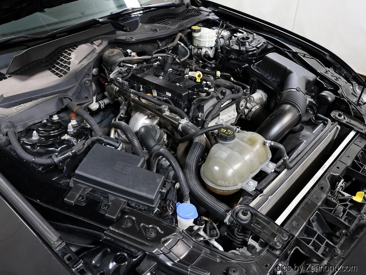 Ford Mustang EcoBoost Fastback 2021