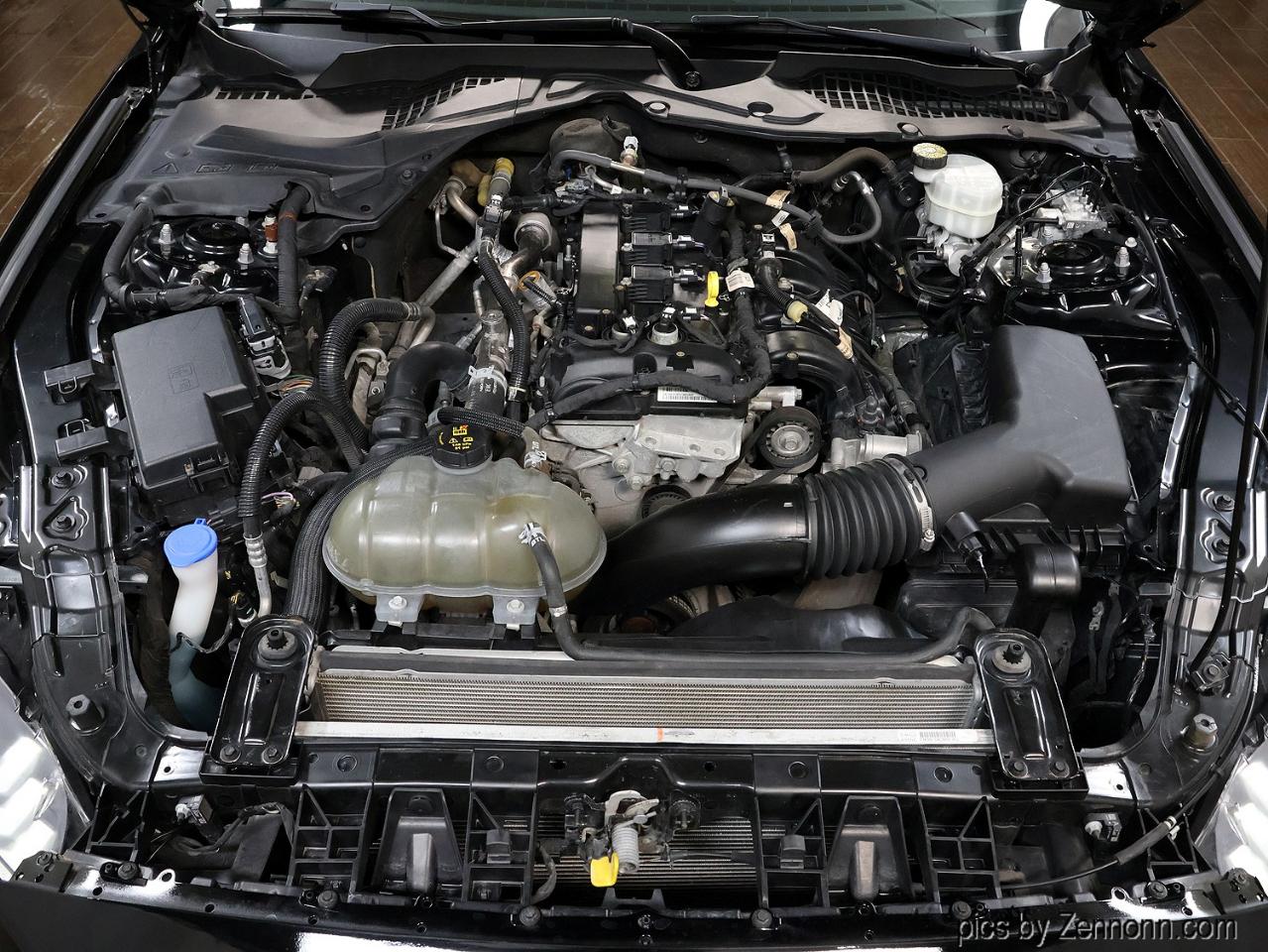 Ford Mustang EcoBoost Fastback 2021