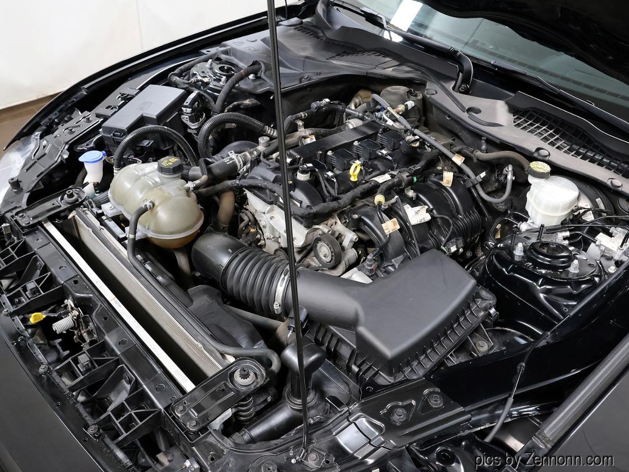 Ford Mustang EcoBoost Fastback 2021