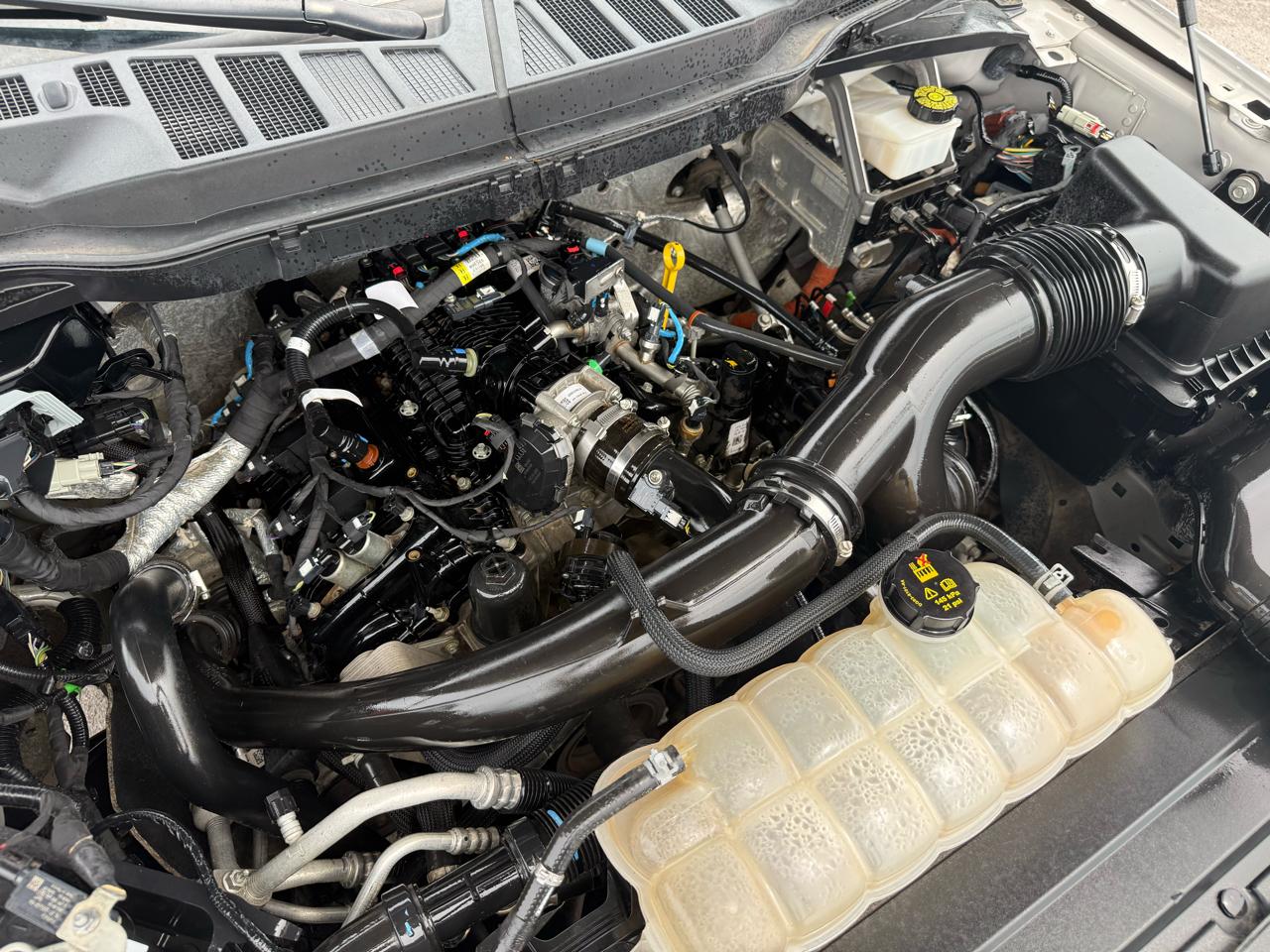 Ford F-150 XL SuperCrew 6.5-ft. Bed 4WD 2021