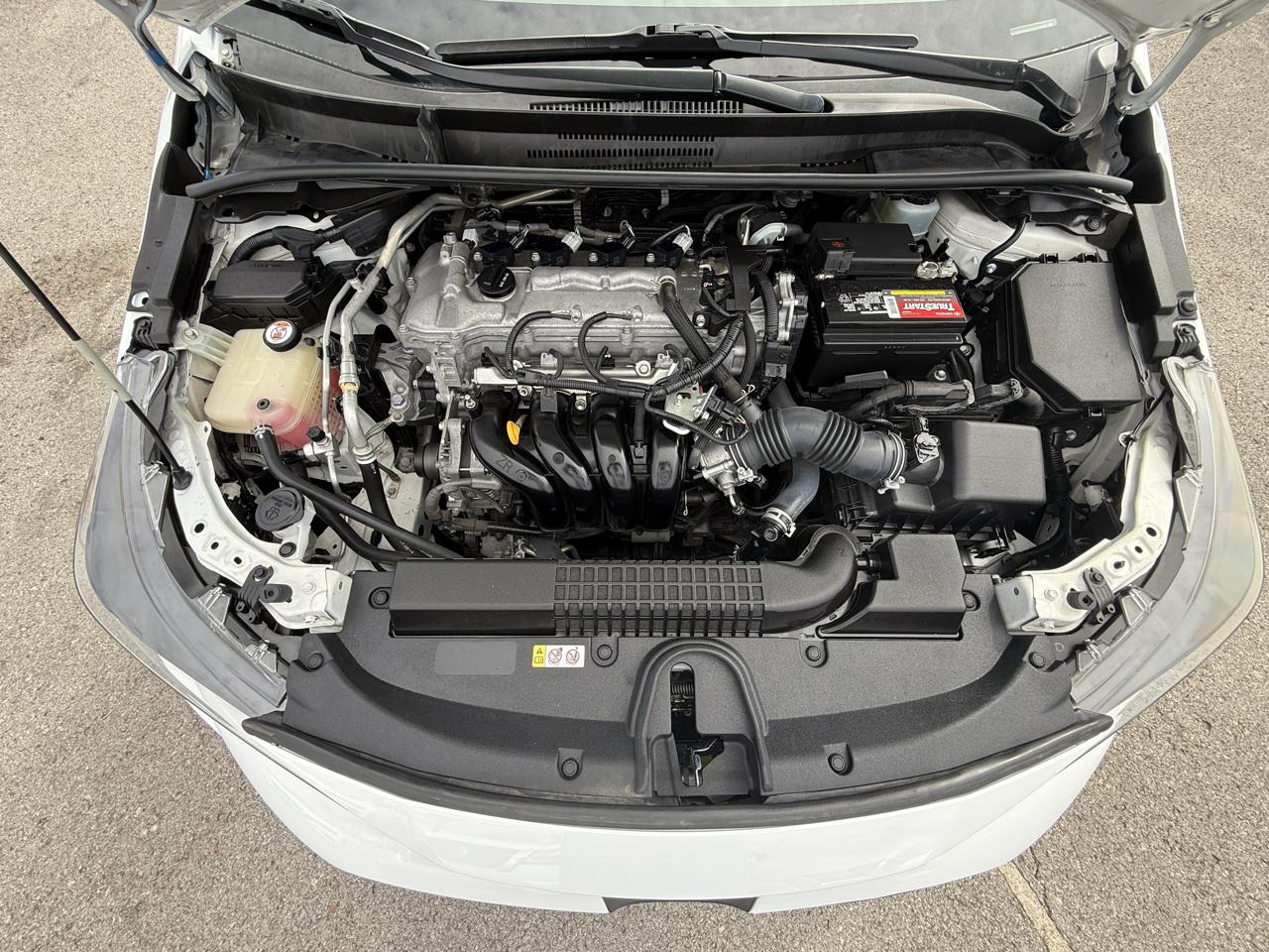 Toyota Corolla LE 2020
