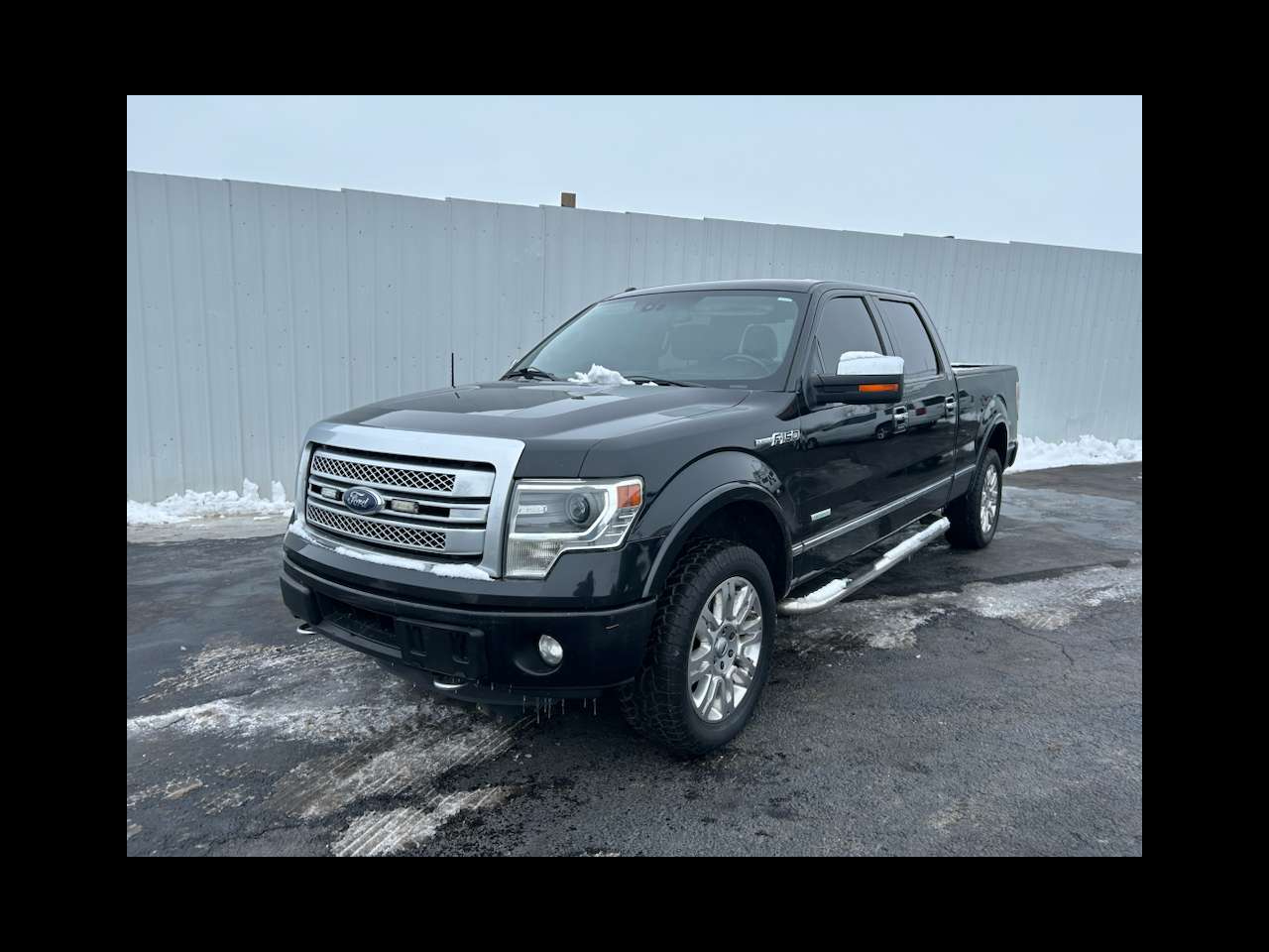 2014 Ford F-150 Platinum's photo