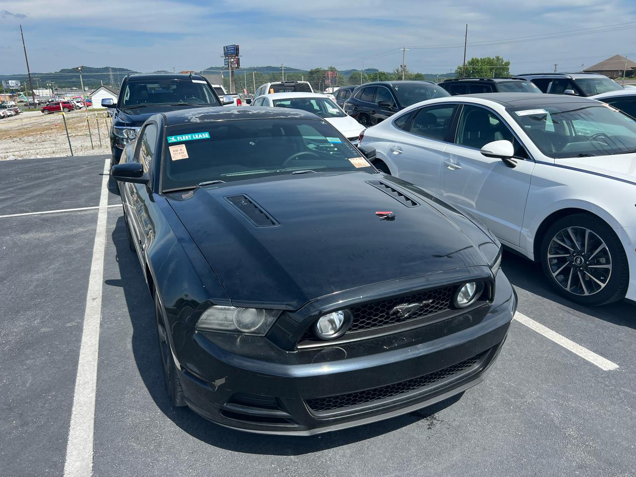 Ford Mustang GT Coupe 2014