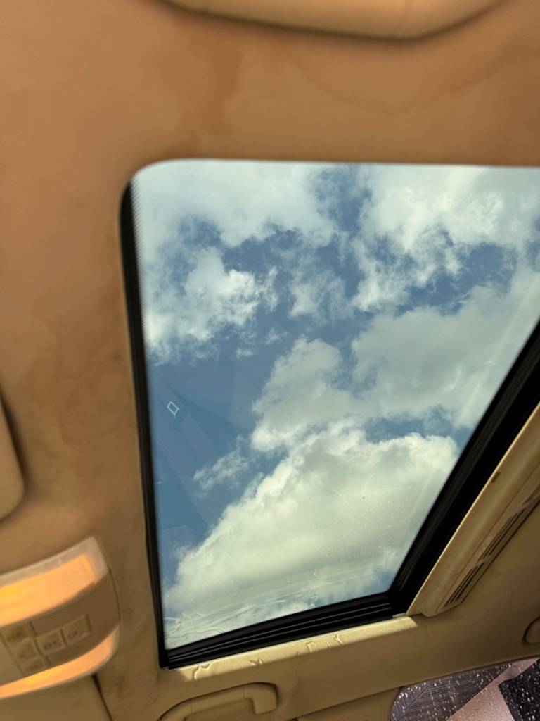View 13
