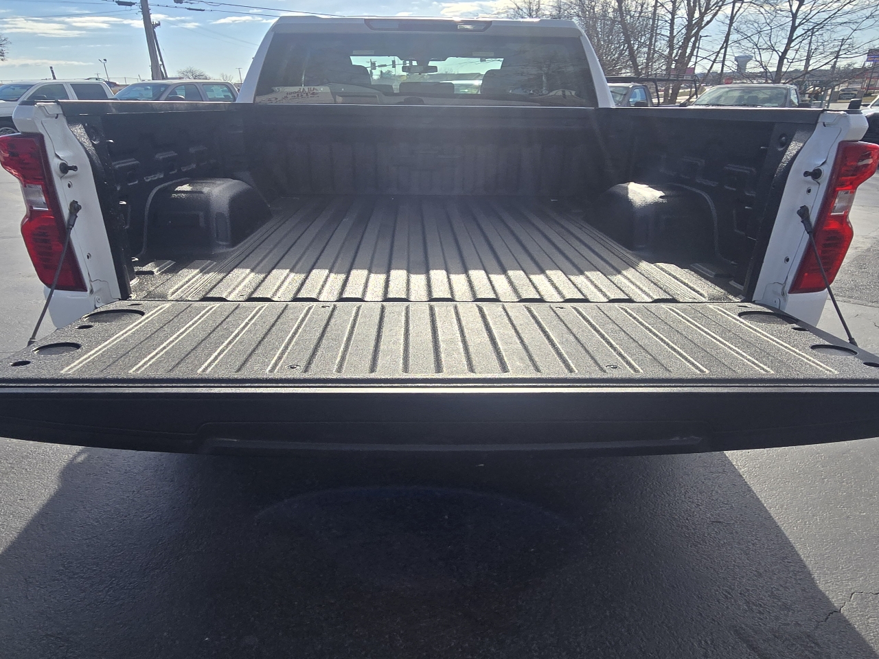 Chevrolet Silverado 1500 Work Truck Double Cab 2WD 2020