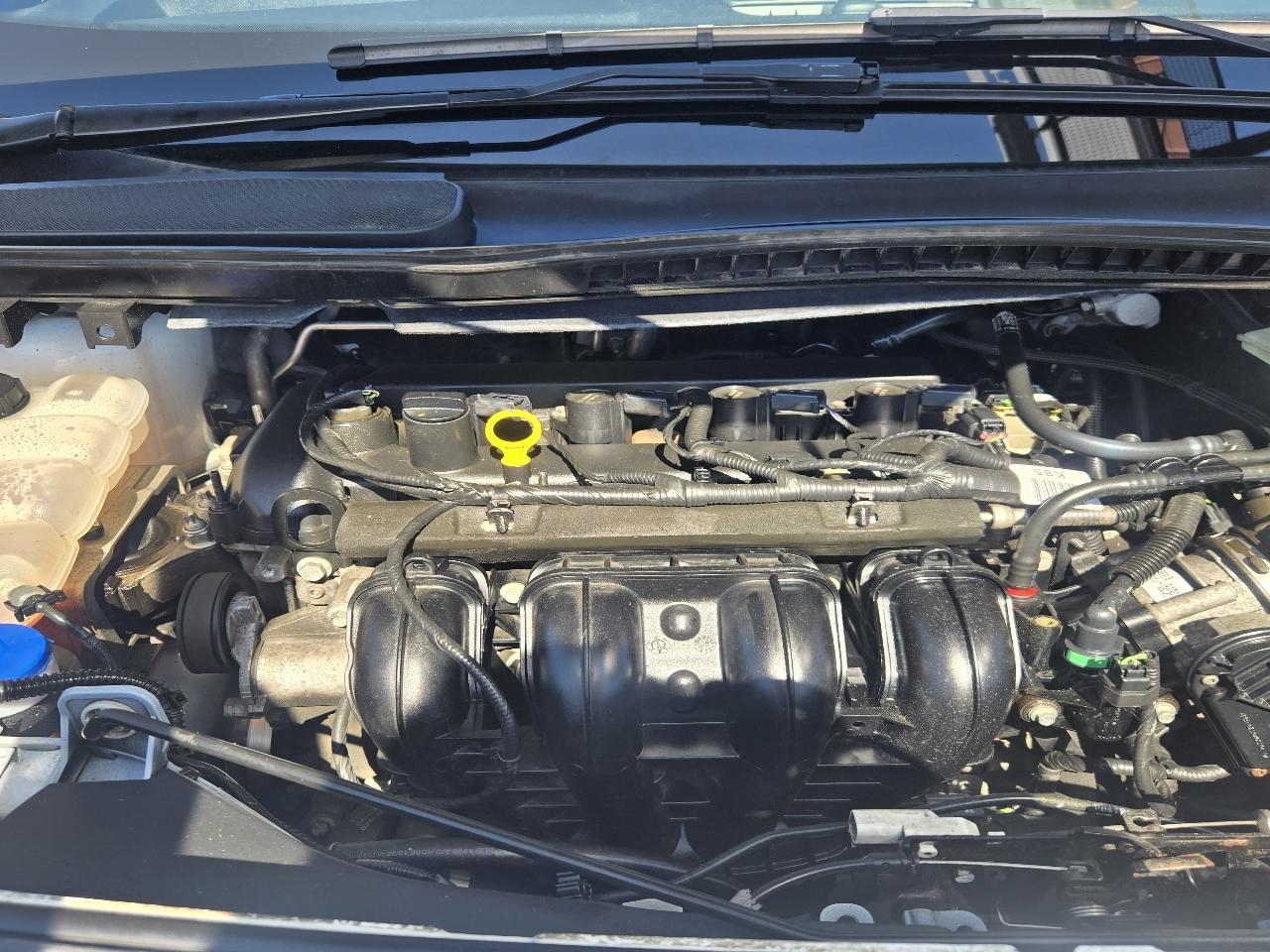 Ford Transit Connect Cargo Van XLT LWB w/Rear Liftgate 2017