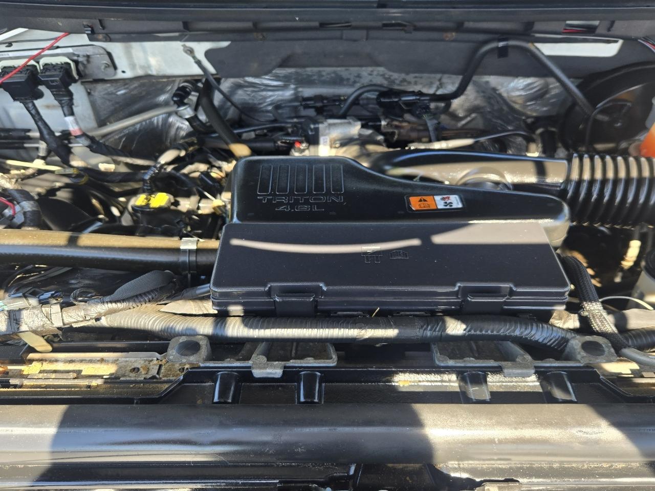 Ford F-150 XL 8-ft. Bed 4WD 2009