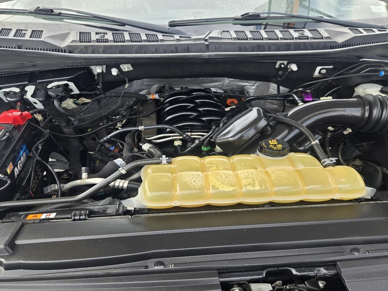 Ford F-150 XL SuperCab 6.5-ft. Bed 4WD 2019