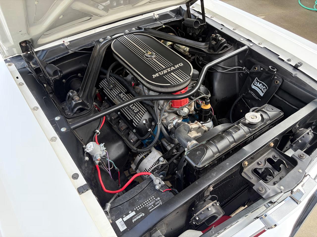 Ford Mustang  1965