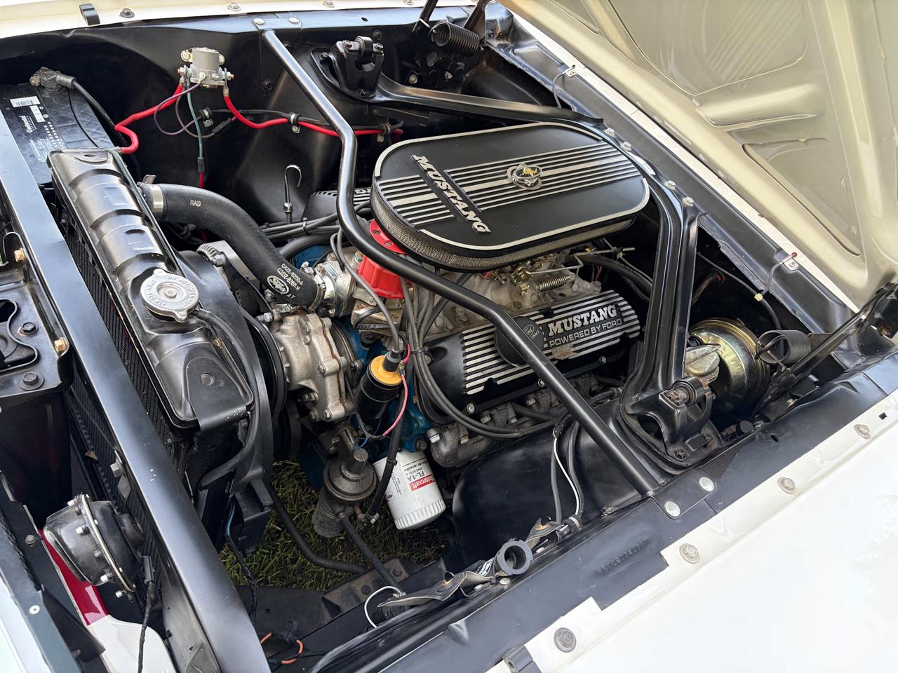 Ford Mustang  1965