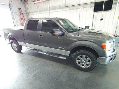 Ford F-150 XL SuperCrew 5.5-ft. Bed 4WD 2013