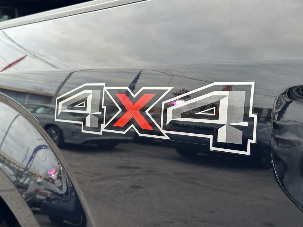 Ford F-150 XLT 4WD SuperCrew 5.5' Box 2020