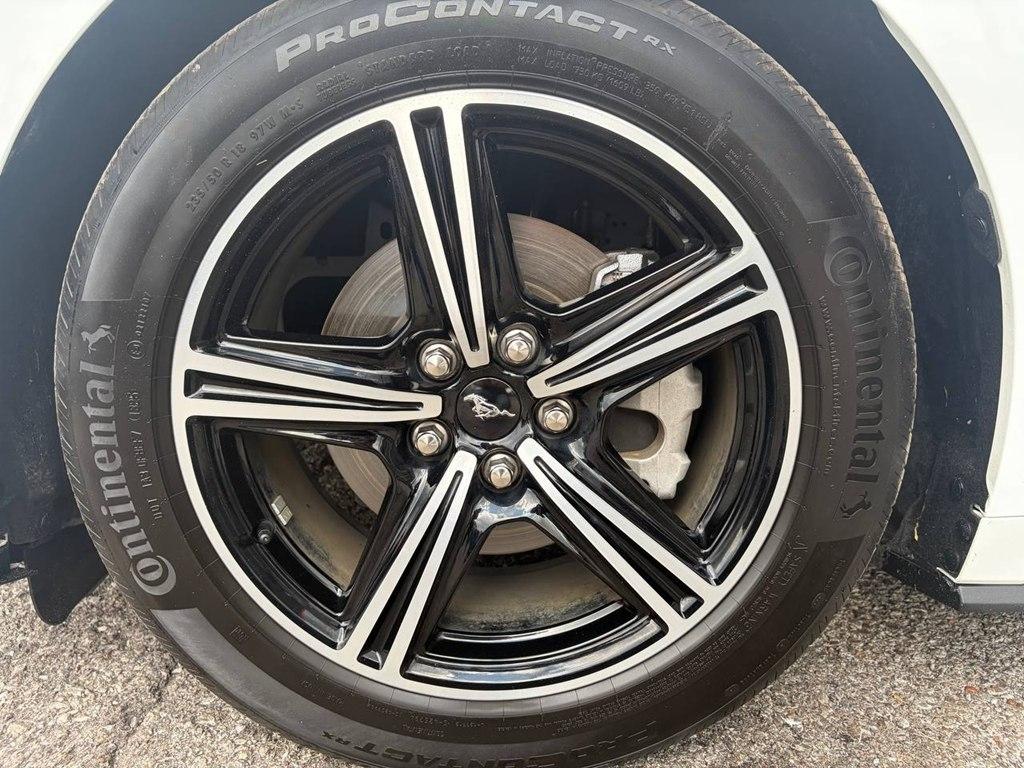 Ford Mustang EcoBoost Fastback 2025