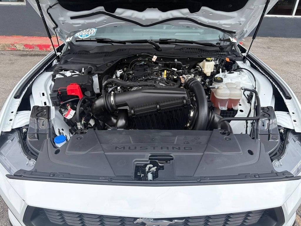 Ford Mustang EcoBoost Fastback 2025