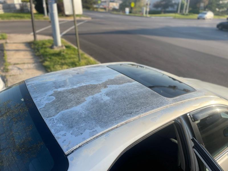 Toyota Camry XLE 2008