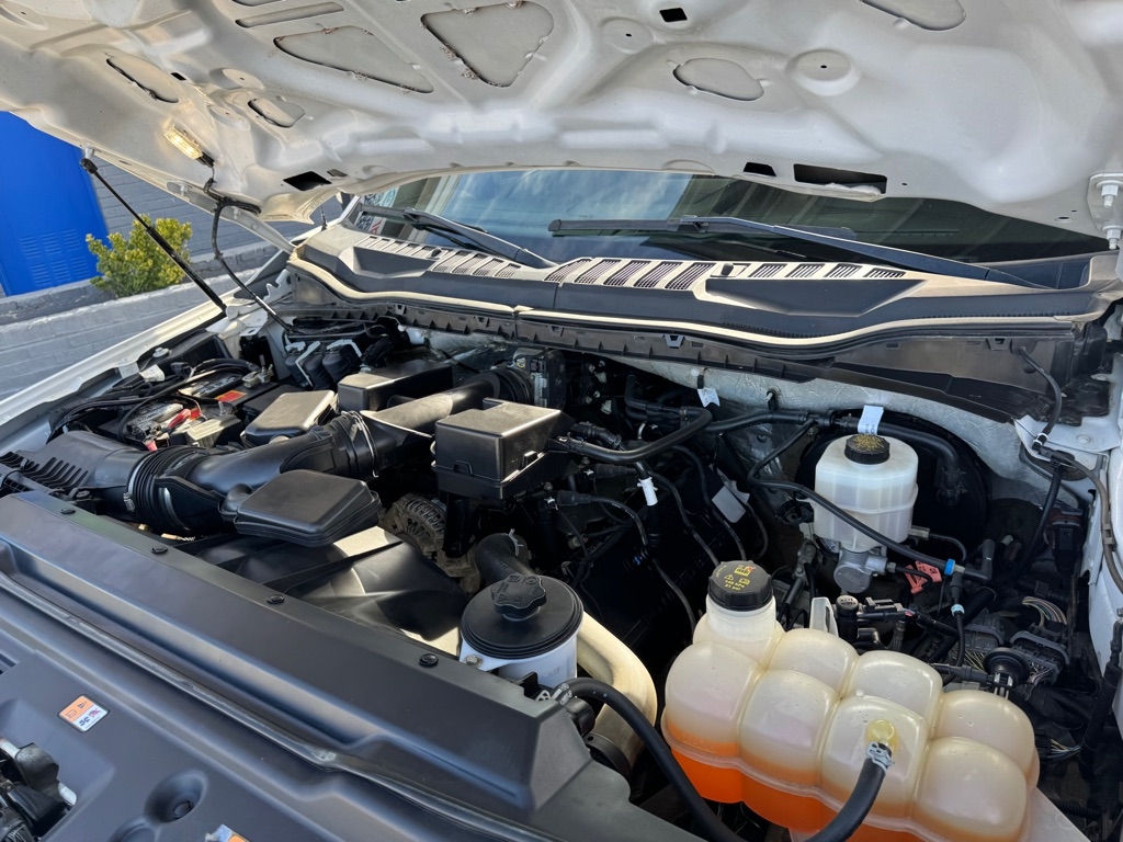 Ford F-250 SD Platinum Crew Cab 4WD 2020