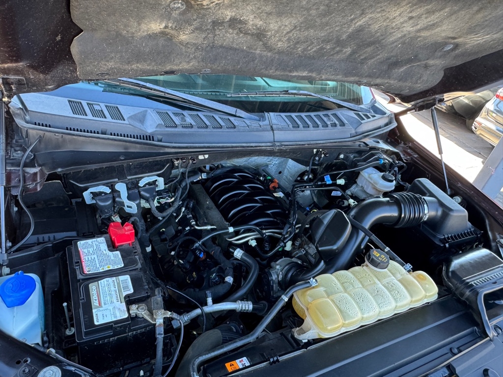 Ford F-150 XL SuperCrew 5.5-ft. Bed 4WD 2019