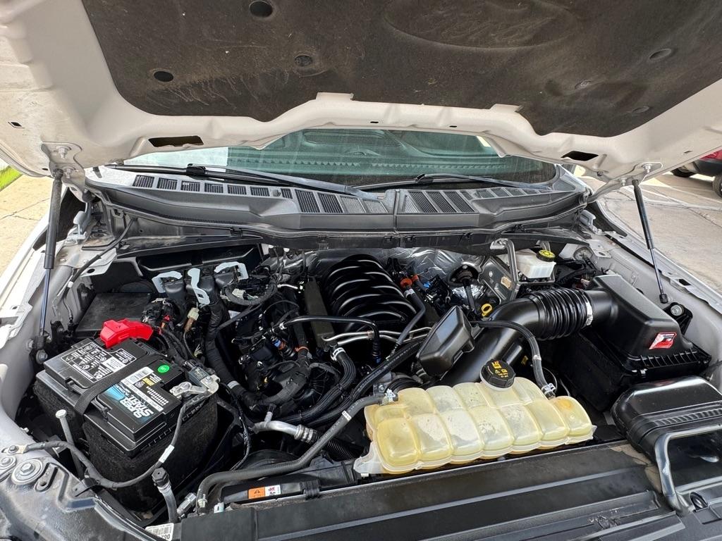 Ford F-150 XL SuperCrew 6.5-ft. Bed 4WD 2022
