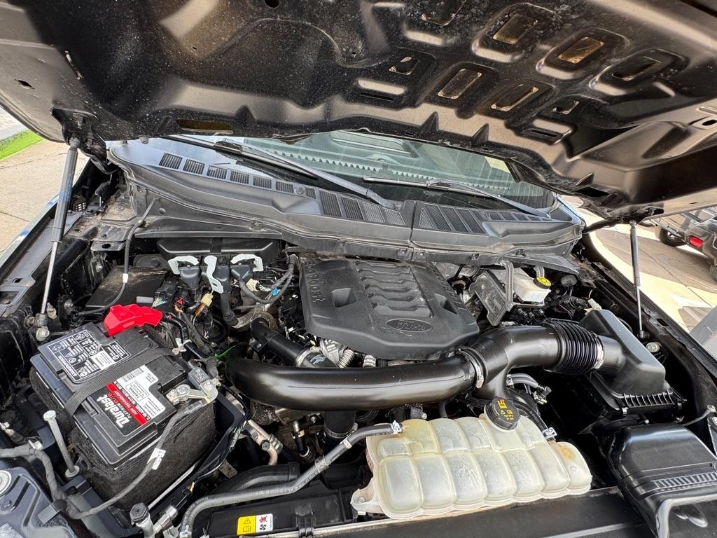 Ford F-150 XL SuperCrew 6.5-ft. Bed 4WD 2023
