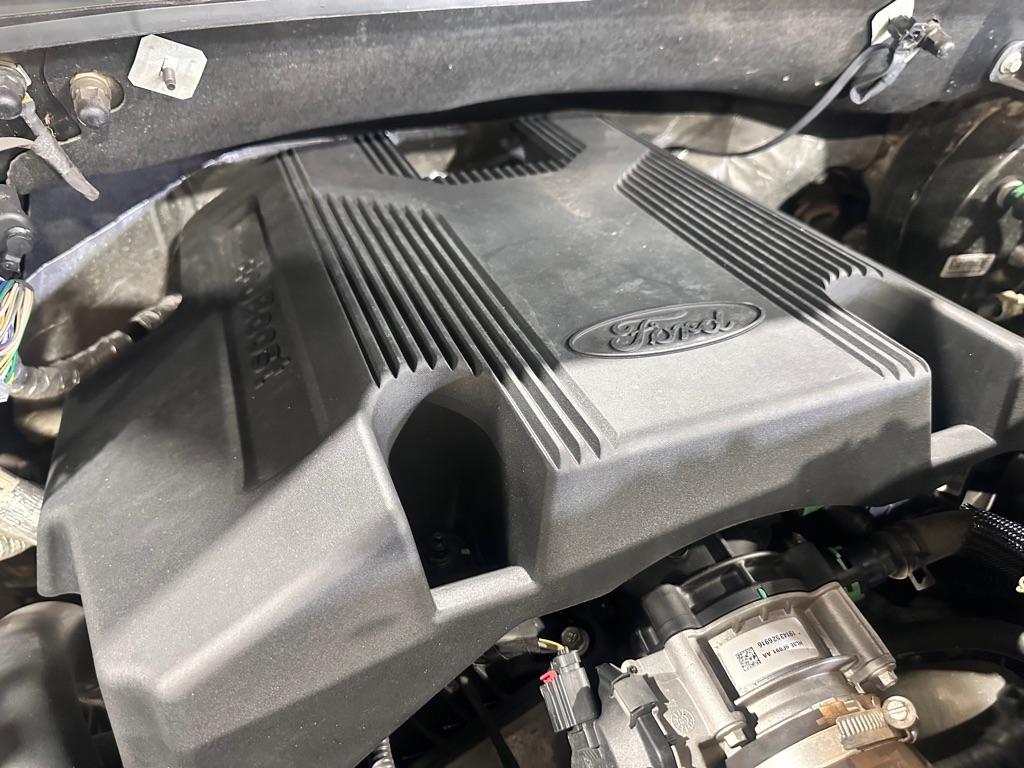 Ford F-150 XLT SuperCrew 5.5-ft. Bed 4WD 2019