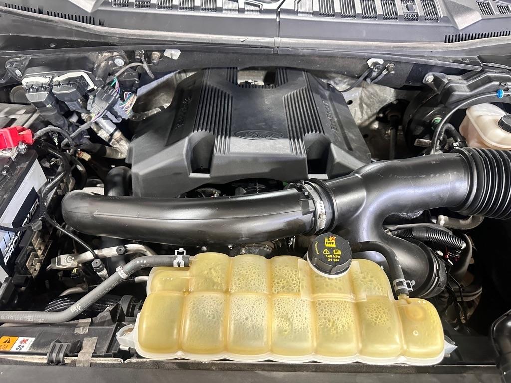 Ford F-150 XLT SuperCrew 5.5-ft. Bed 4WD 2019