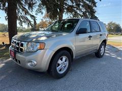 2010 Ford Escape  2010 Ford Escape