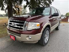 2010 Ford Expedition  2010 Ford Expedition