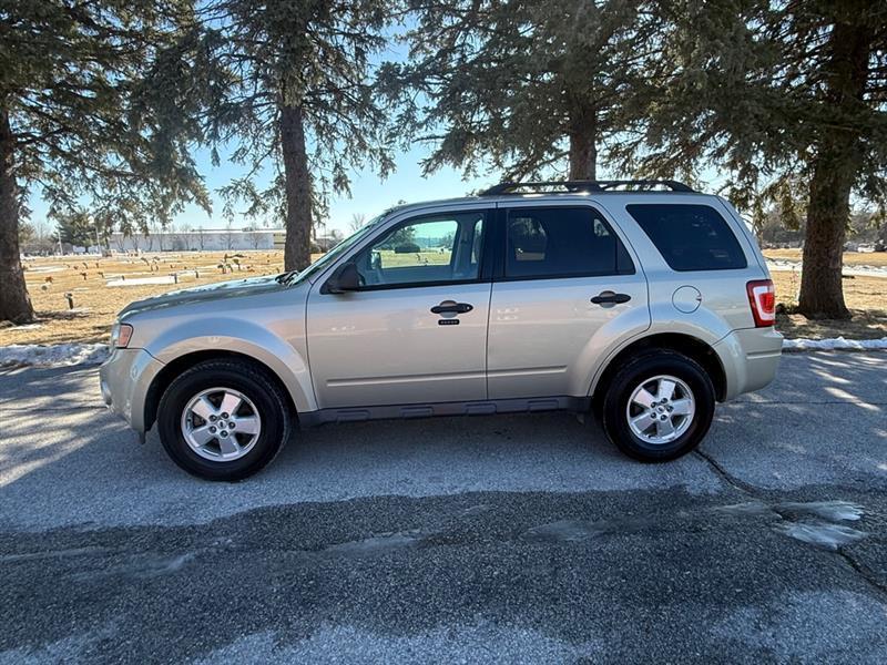 2010 Ford Escape XLT