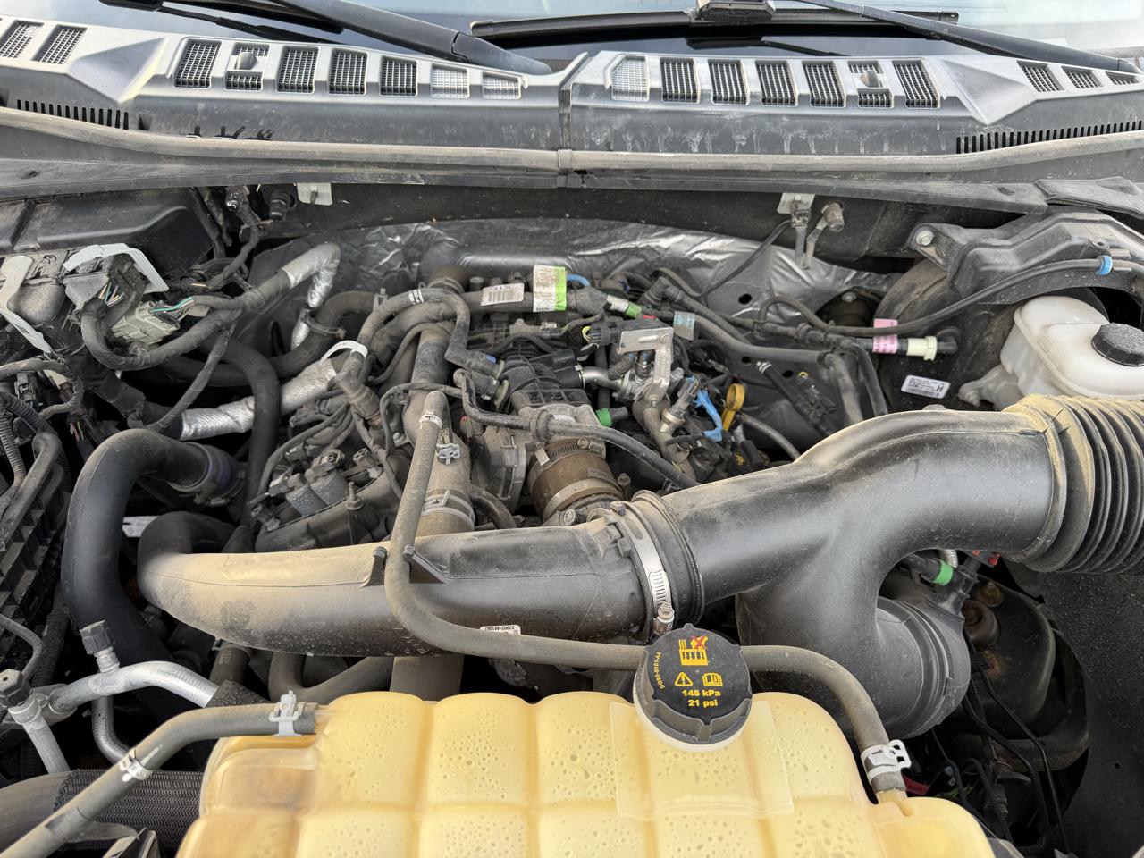 Ford F-150 XLT SuperCrew 6.5-ft. Bed 4WD 2019