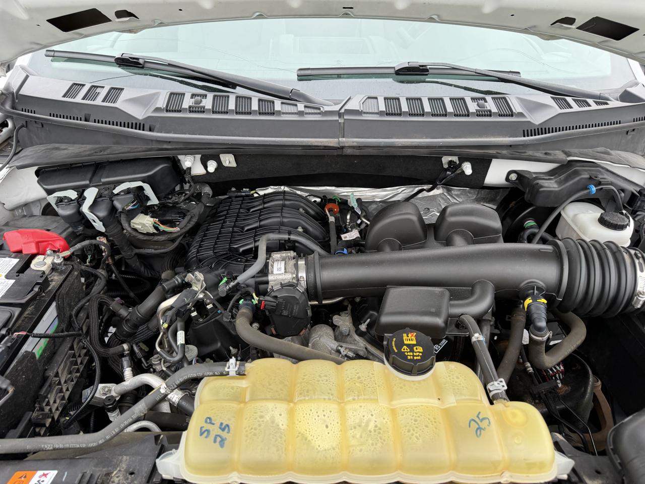 Ford F-150 XL 8-ft. Bed 2WD 2019