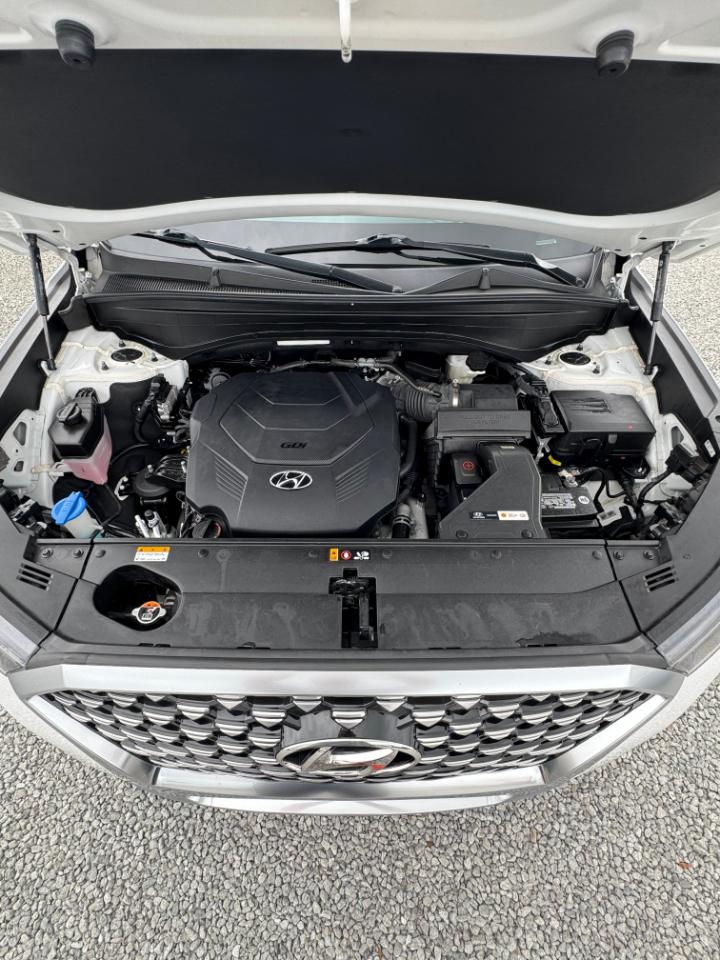 Hyundai Palisade Calligraphy AWD 2021