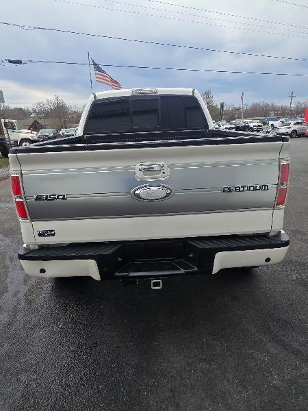 Ford F-150 4WD SuperCrew 145" Platinum 2014