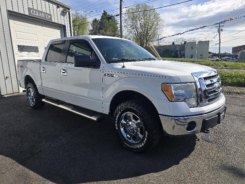 Ford F-150 XLT SuperCrew 6.5-ft. Bed 4WD 2011