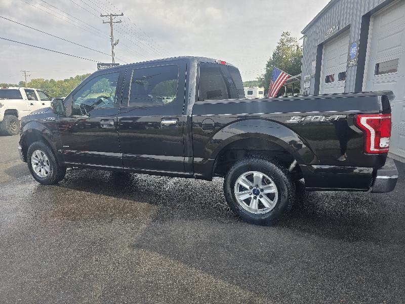 Ford F-150 XLT SuperCrew 5.5-ft. Bed 2WD 2015