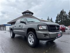 2008 Dodge Dakota  2008 Dodge Dakota
