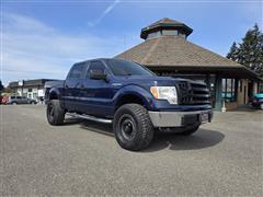 2010 Ford F-150 
