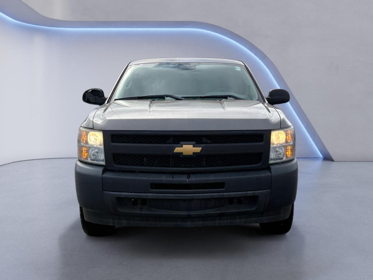Chevrolet Silverado 1500 2WD Reg Cab 119.0" Work Truck 2012