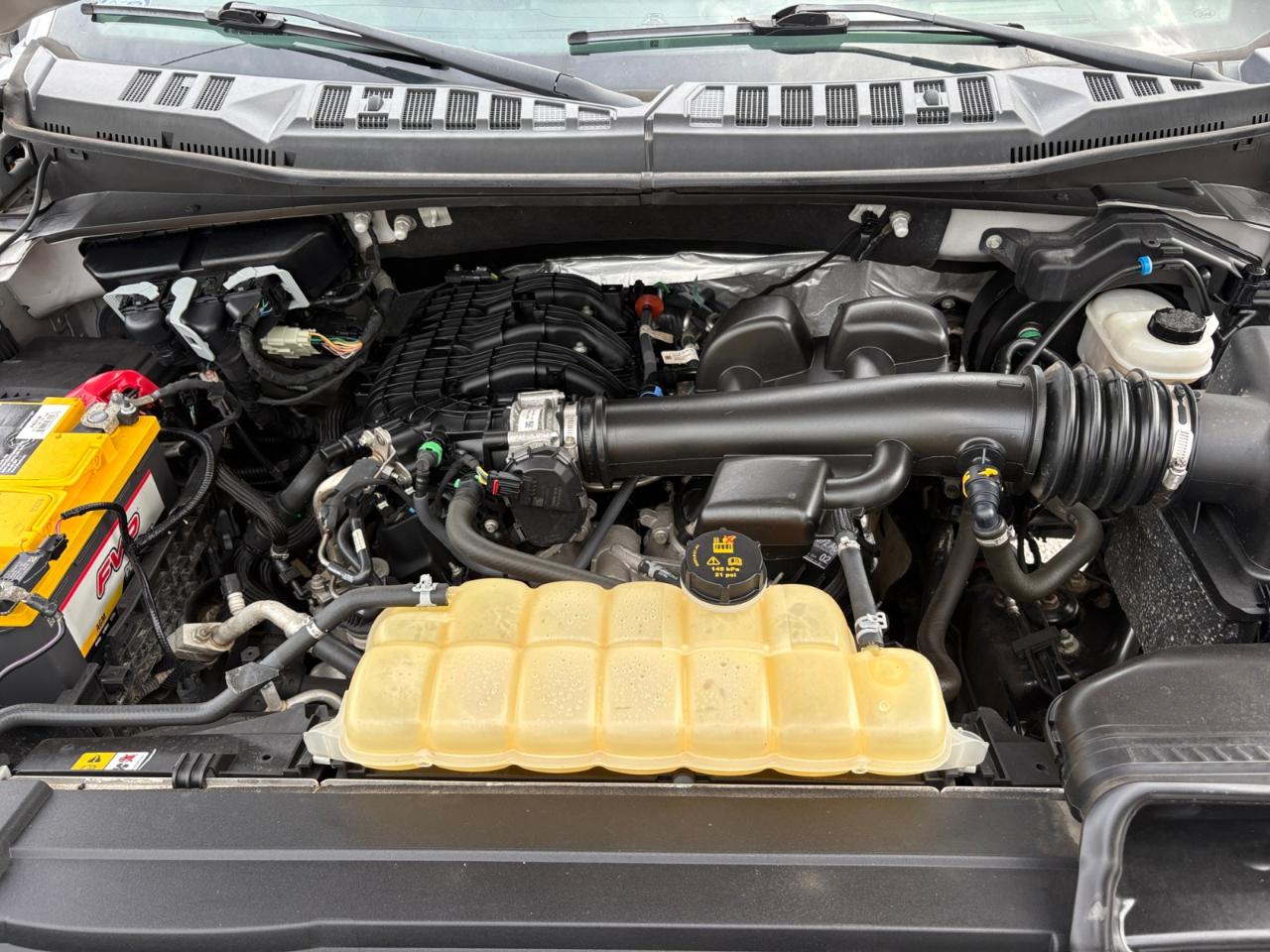 Ford F-150 XL 4WD SuperCrew 5.5' Box 2020