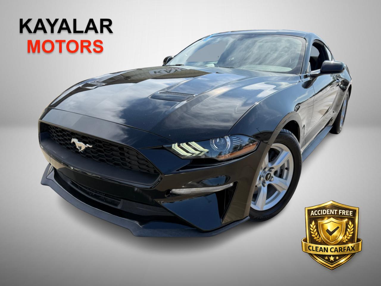 Ford Mustang EcoBoost Coupe 2019